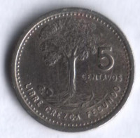 Монета 5 сентаво. 1980 год, Гватемала.