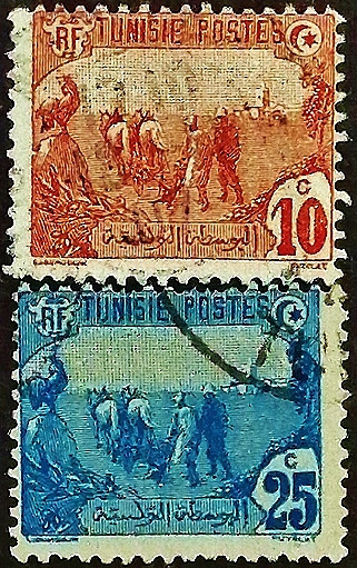 Набор почтовых марок (2 шт.). "Деревенские мотивы". 1906 год, Тунис.