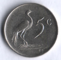 5 центов. 1971 год, ЮАР.