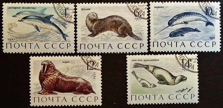 Набор почтовых марок (5 шт.). "Морские млекопитающие". 1971 год, СССР.