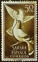 Почтовая марка (50 c.). "Сизый голубь". 1961 год, Испанская Сахара.
