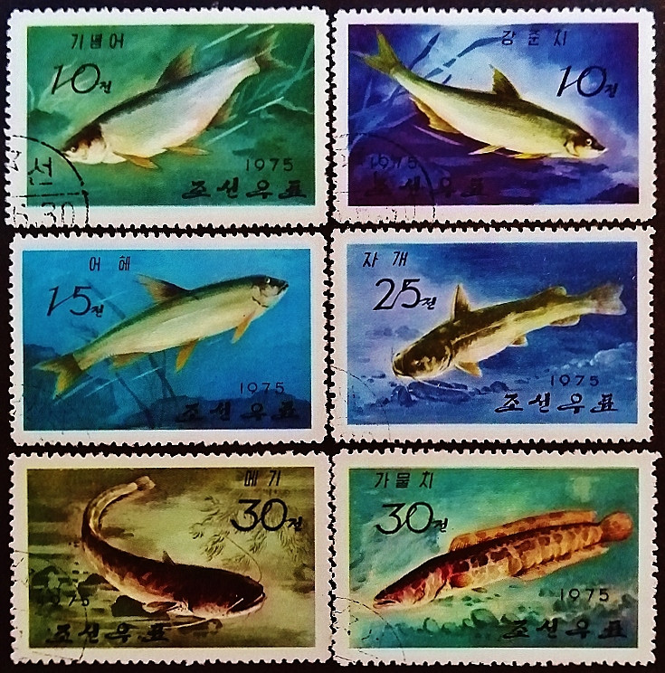 Набор почтовых марок (6 шт.). "Пресноводные рыбы". 1975 год, КНДР.