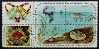 Сцепка почтовых марок (5 шт.). "Рождество 1964: Морские обитатели (II)". 1964 год, Куба.