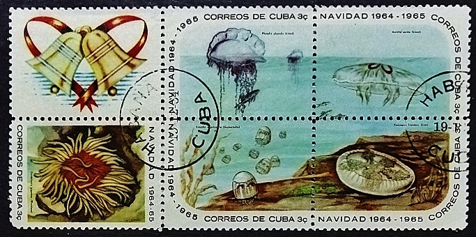Сцепка почтовых марок (5 шт.). "Рождество 1964: Морские обитатели (II)". 1964 год, Куба.