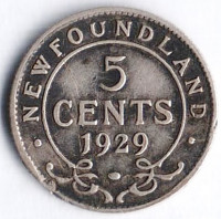Монета 5 центов. 1929 год, Ньюфаундленд.