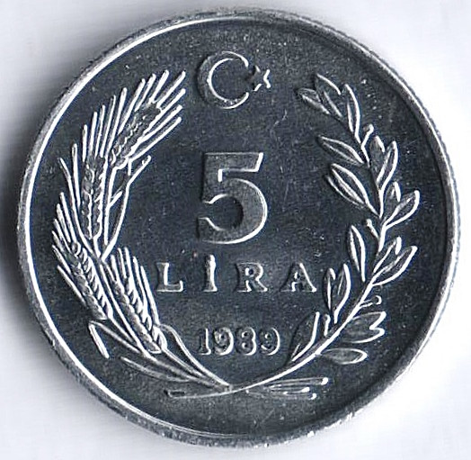 Монета 5 лир. 1989 год, Турция.