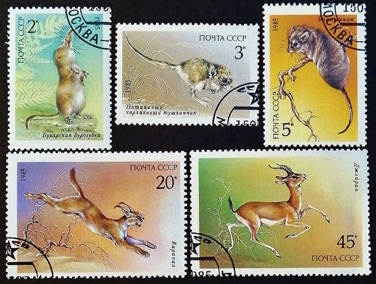 Набор почтовых марок (5 шт.). "Охраняемые животные СССР". 1985 год, СССР. Набор почтовых марок (5 шт.). "Охраняемые животные СССР". 1985 год, СССР.