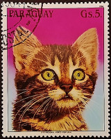 Почтовая марка (5 g.). "Кошки". 1984 год, Парагвай.