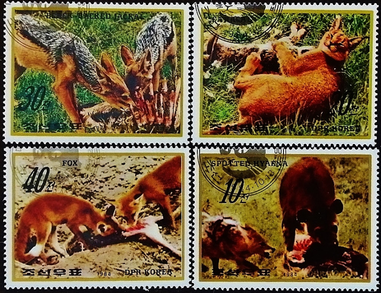 Набор почтовых марок (4 шт.). "Хищники". 1984 год, КНДР.