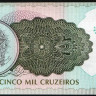 Банкнота 5000 крузейро. 1992 год, Бразилия.