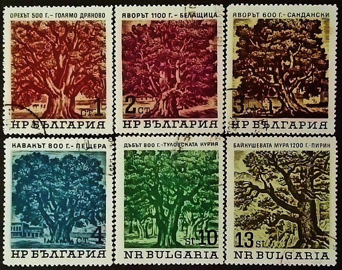 Набор почтовых марок (6 шт.). "Деревья". 1964 год, Болгария.