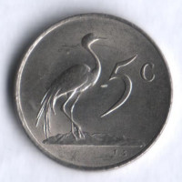 5 центов. 1977 год, ЮАР.