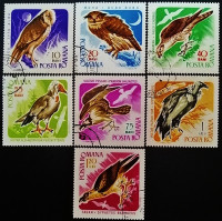 Набор почтовых марок (7 шт.). "Хищные птицы". 1967 год, Румыния.