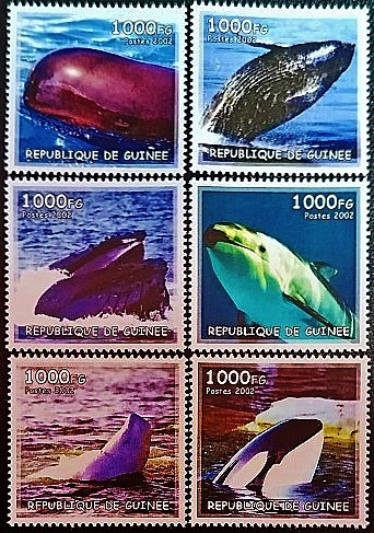 Набор марок (6 шт.). "Киты". 2002 год, Гвинея.