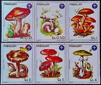 Набор марок (6 шт.). "Грибы". 1985 год, Парагвай.