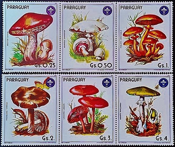Набор марок (6 шт.). "Грибы". 1985 год, Парагвай.