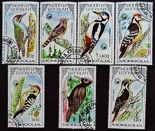 Набор почтовых марок (7 шт.). "Дятлы". 1987 год, Монголия.