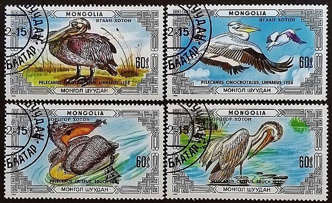 Набор почтовых марок (4 шт.). "Пеликаны". 1986 год, Монголия.