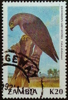 Почтовая марка (20 k.). "Стандарт - Птицы". 1991 год, Замбия.