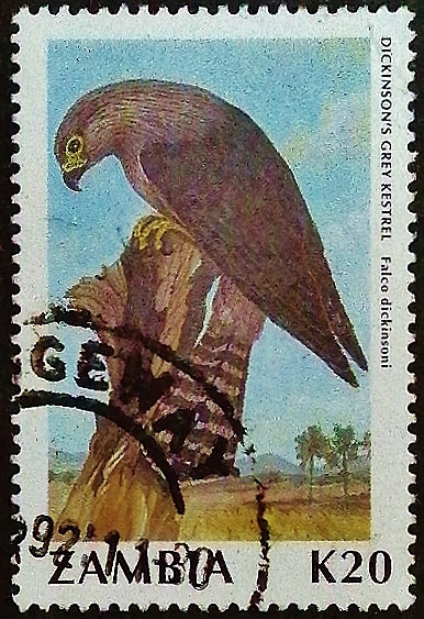 Почтовая марка (20 k.). "Стандарт - Птицы". 1991 год, Замбия.