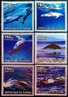 Набор марок (6 шт.). "Дельфины". 2002 год, Гвинея.