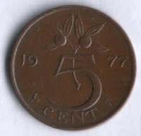 Монета 5 центов. 1977 год, Нидерланды.
