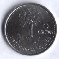 Монета 5 сентаво. 2009 год, Гватемала.