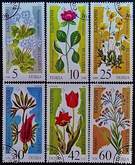 Набор почтовых марок (6 шт.). "Вымирающие растения". 1989 год, Болгария.