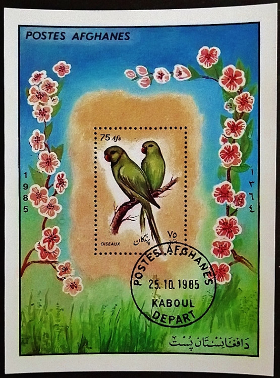 Мини-блок. "Птицы". 1985 год, Афганистан.