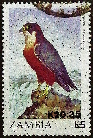 Почтовая марка (20,35 k.). "Доплата - Птицы". 1989 год, Замбия.