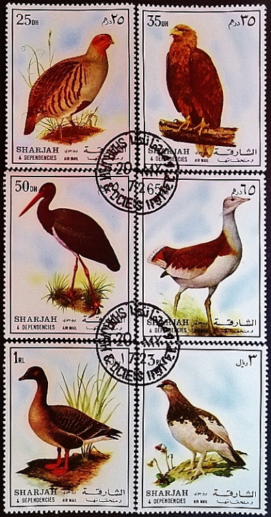 Набор марок (6 шт.). "Хищные птицы". 1972 год, Шарджа. Набор марок (6 шт.). "Хищные птицы". 1972 год, Шарджа.