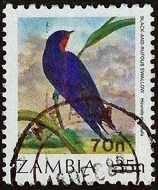 Почтовая марка (70 n.). "Доплата - Птицы". 1989 год, Замбия.