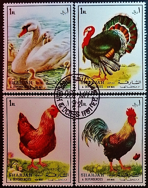 Набор марок (4 шт.). "Домашние птицы". 1972 год, Шарджа. Набор марок (4 шт.). "Домашние птицы". 1972 год, Шарджа.