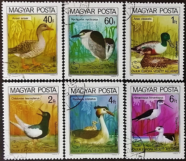 Набор почтовых марок (6 шт.). "Птицы". 1980 год, Венгрия.