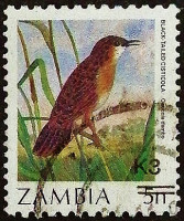 Почтовая марка (3 k.). "Доплата - Птицы". 1989 год, Замбия.