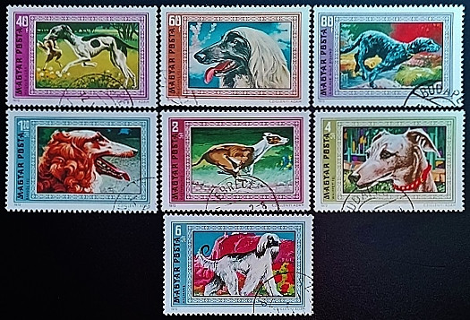 Набор почтовых марок (7 шт.). "Гончие". 1972 год, Венгрия. Набор почтовых марок (7 шт.). "Гончие". 1972 год, Венгрия.