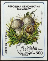 Мини-блок. "Грибы". 1990 год, Мадагаскар.