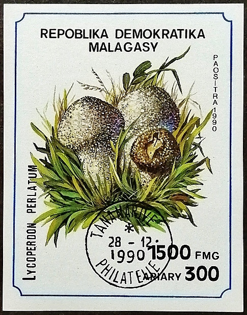 Мини-блок. "Грибы". 1990 год, Мадагаскар.