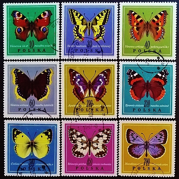 Набор почтовых марок (9 шт.). "Бабочки в естественных цветах". 1967 год, Польша. Набор почтовых марок (9 шт.). "Бабочки в естественных цветах". 1967 год, Польша.