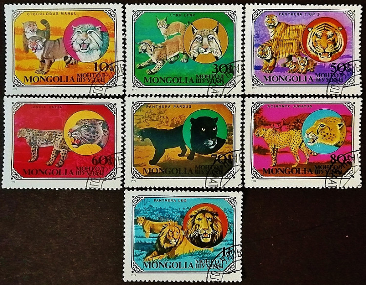 Набор почтовых марок (7 шт.). "Дикие кошки". 1979 год, Монголия.
