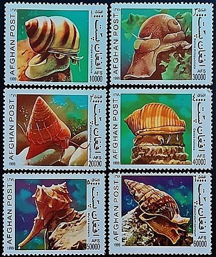 Набор марок (6 шт.). "Улитки". 1999 год, Афганистан.