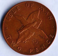 Монета 2 пенса. 1979(AG) год, Остров Мэн.