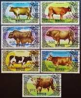 Набор почтовых марок (7 шт.). "Крупнорогатый скот". 1985 год, Монголия.