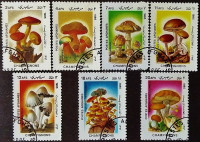 Набор почтовых марок (7 шт.). "Грибы". 1985 год, Афганистан.