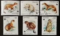 Набор почтовых марок (6 шт.). "Животные под защитой". 1984 год, Польша.