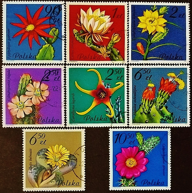Набор почтовых марок (8 шт.). "Цветущие суккуленты". 1981 год, Польша.