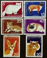 Набор почтовых марок (6 шт.). "Кошки". 1983 год, Болгария.