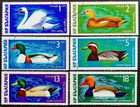 Набор почтовых марок (6 шт.). "Водоплавающие птицы". 1976 год, Болгария.