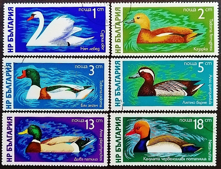 Набор почтовых марок (6 шт.). "Водоплавающие птицы". 1976 год, Болгария.