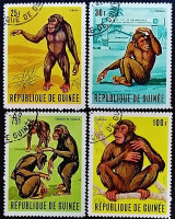 Набор почтовых марок (4 шт.). "Шимпанзе". 1969 год, Гвинея.